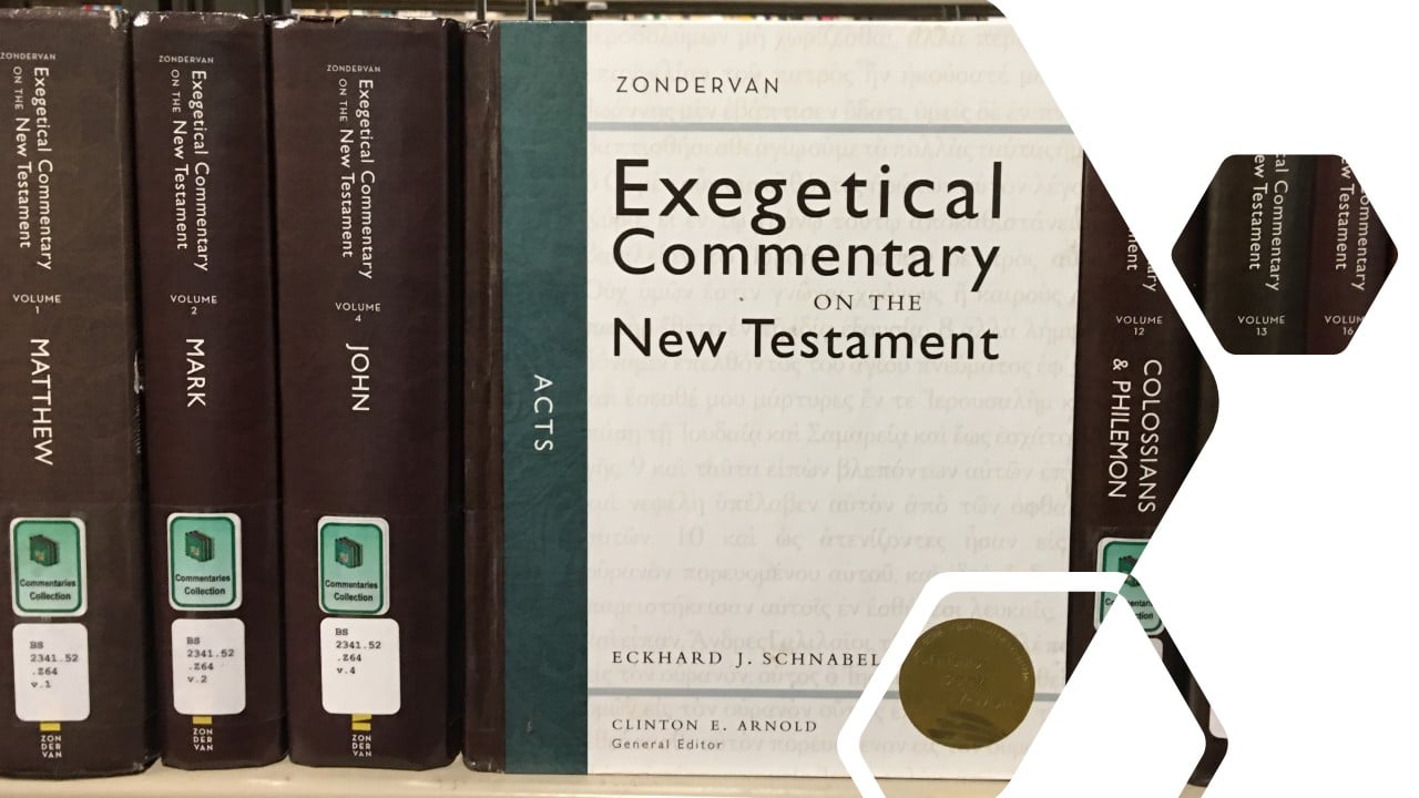 H11-002 THE MOFFATT NEW TESTAMENT COMMENTARY THE REVELATION